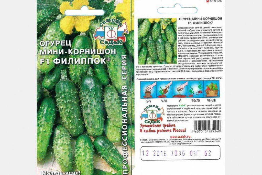 Огурцы Парижский Корнишон Отзывы Фото Урожайность