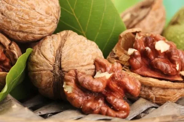 плоды сорта Карлик