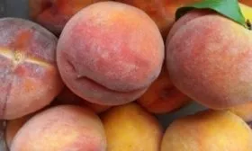 плоды персика Бархатный