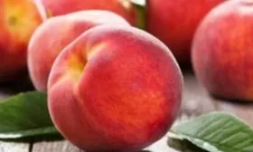 плоды сорта Кранощёкий