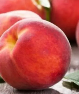 плоды сорта Кранощёкий