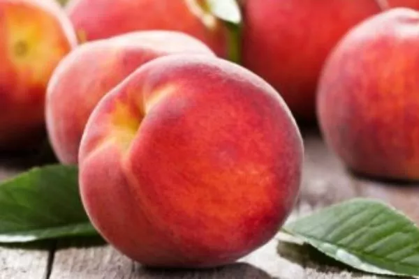 плоды сорта Кранощёкий