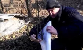 утепление персика Краснощёкий