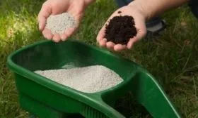 удобрения для персика Флеминг фьюри