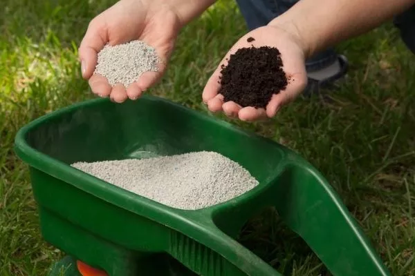 удобрения для персика Флеминг фьюри