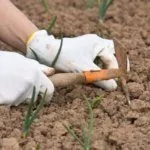 Рыхление земли