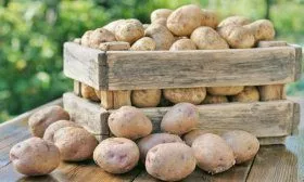Хранение картофеля