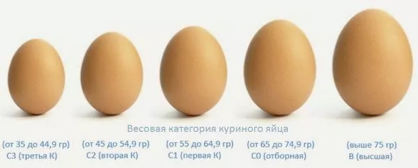 Маркировка размеров куриных яиц