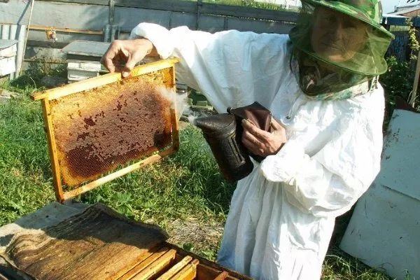 Пчеловод и рамка с мёдом