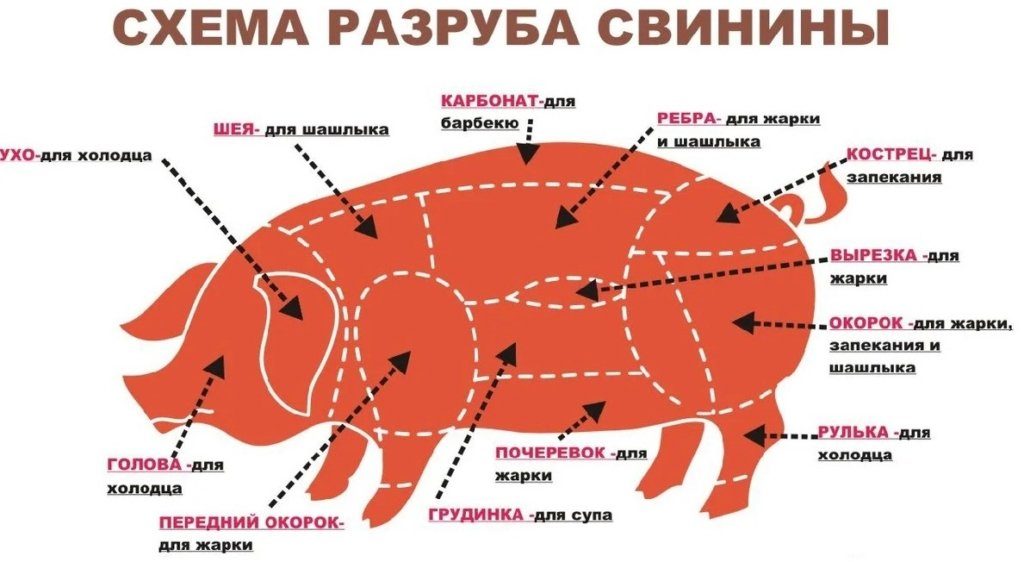 Части свинины- названия, схема, советы