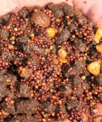 Прикормка раков