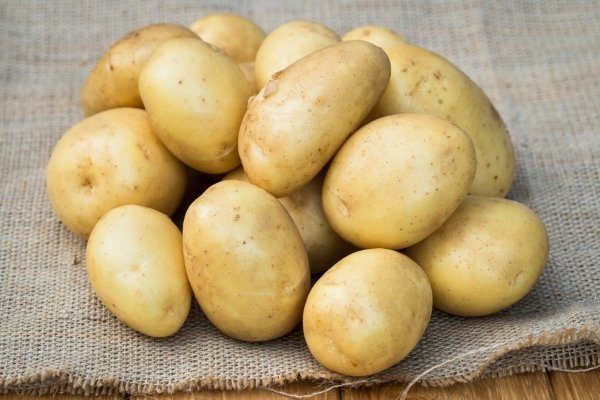 Сорт картофеля Уладар
