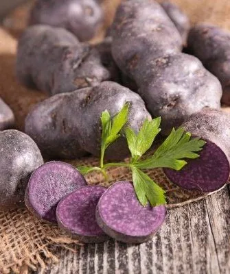 Фиолетовый картофель