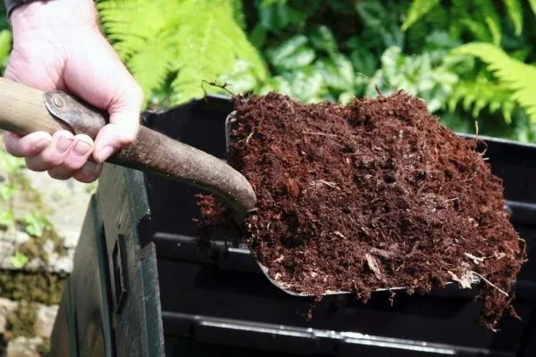 Подготовка и удобрение почвы