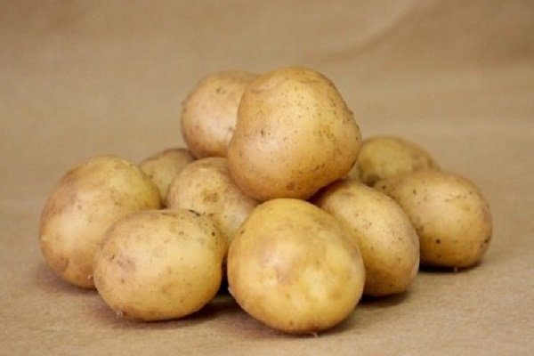 10 лучших сортов картофеля: посадка и уход