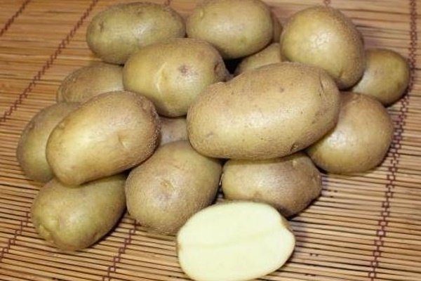 10 лучших сортов картофеля: посадка и уход