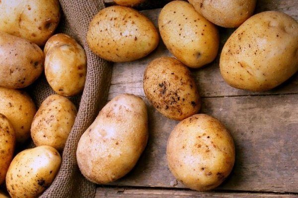 Хорошие сорта картошка: посадка и уход