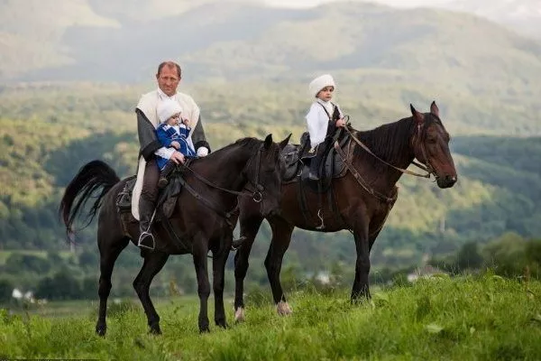 Карачаевская порода лошадей: фото, описание характеристик, правил ухода,содержания и разведения