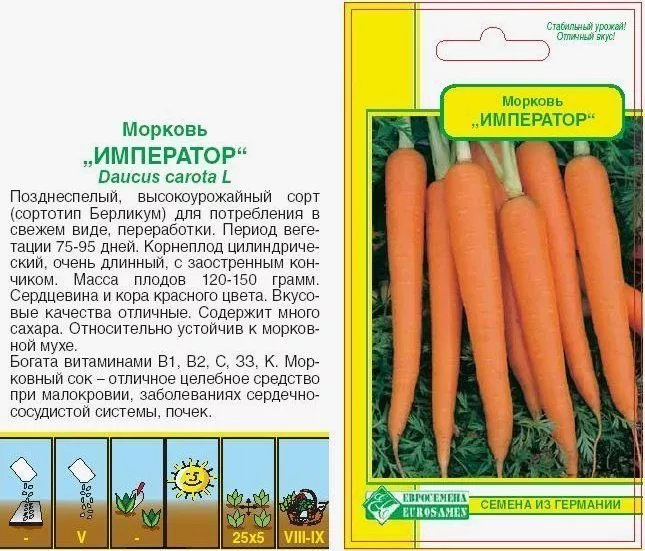 Сорта моркови для Калужской области названия, фото, описание