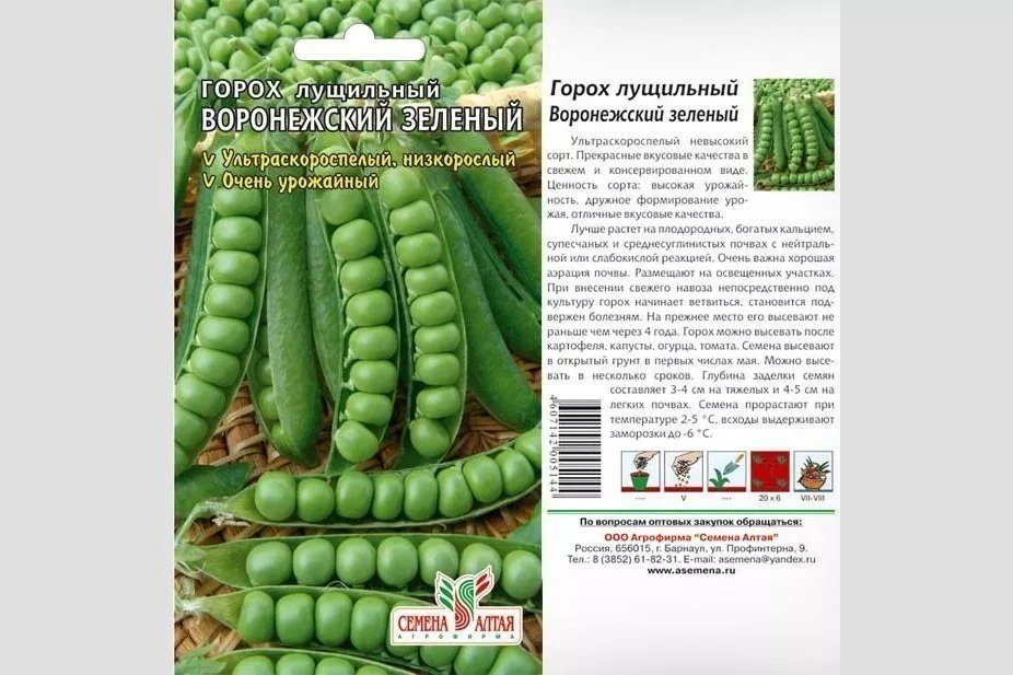 Горох Воронежский зелёный