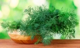 Укроп Узоры