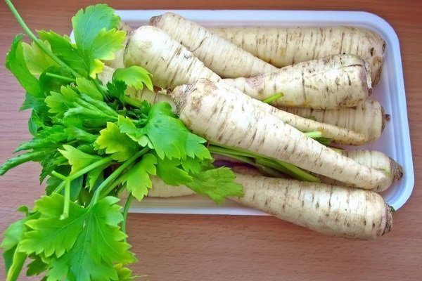 какую петрушку лучше сажать на зелень весной в открытом грунте. картинка какую петрушку лучше сажать на зелень весной в открытом грунте. какую петрушку лучше сажать на зелень весной в открытом грунте фото. какую петрушку лучше сажать на зелень весной в открытом грунте видео. какую петрушку лучше сажать на зелень весной в открытом грунте смотреть картинку онлайн. смотреть картинку какую петрушку лучше сажать на зелень весной в открытом грунте.