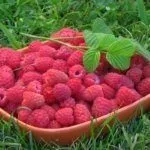 Малина Киржач