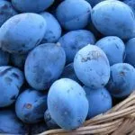 Сбор урожая