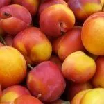 Сбор урожая