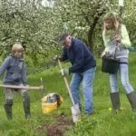 Подготовка ямы к посадке