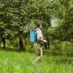 Борьба с вредителями