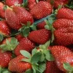 Сбор урожая