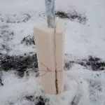 Подготовка ствола к зиме