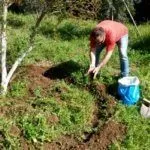 Вносить удобрение