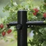 Опора для крыжовника