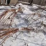 Подготовка к зиме