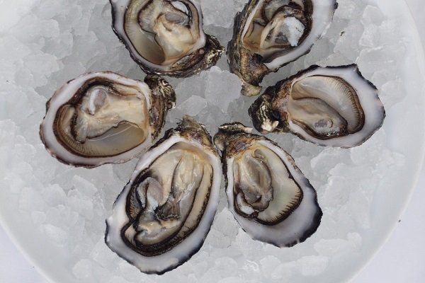 fine de claire oysters at wine pub pullman bangkok king power11