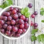 Сбор урожая