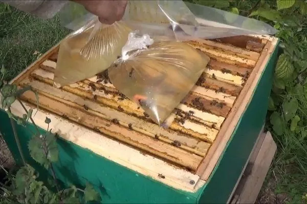 Необходимость каждого пчеловода — кормушка для пчел