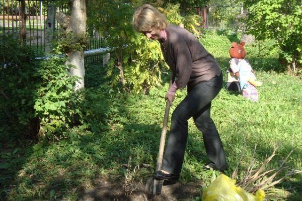 Подготовка места