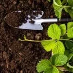 Подготовка к посадке