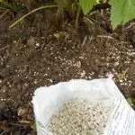 Подкормка удобрением