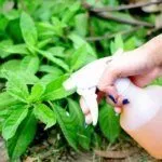 Профилактика