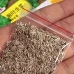 Семена салата