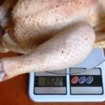 Венгерский великан