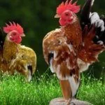 Малазийская Серама