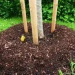 Подготовка к зиме