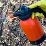 Опрыскивание