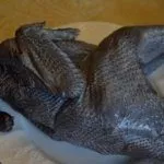 Чёрное мясо