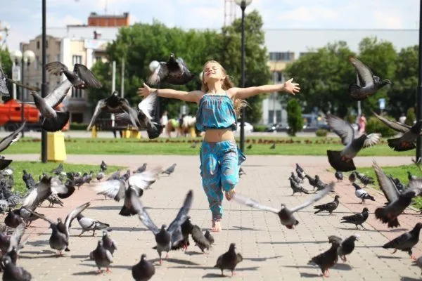 Летом голуби часто собираются рядом с людьми